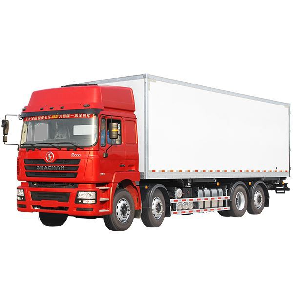 Camion de cargaison de boîte de 8x4