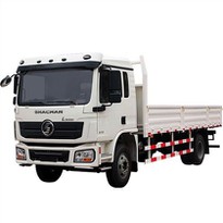 Camion léger 4x2